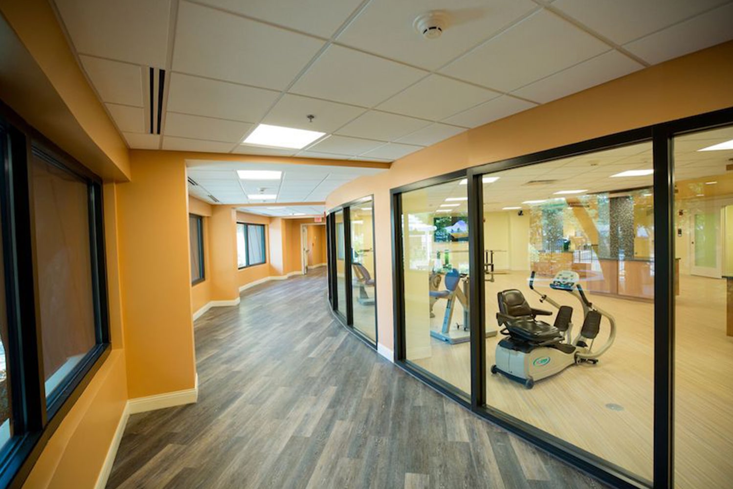 Curved hallway outside of the gym facility looking into floor to ceiling windows showing the fitness machines